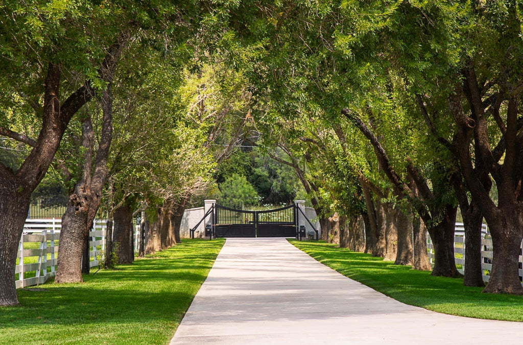 The Black Hawk Residence